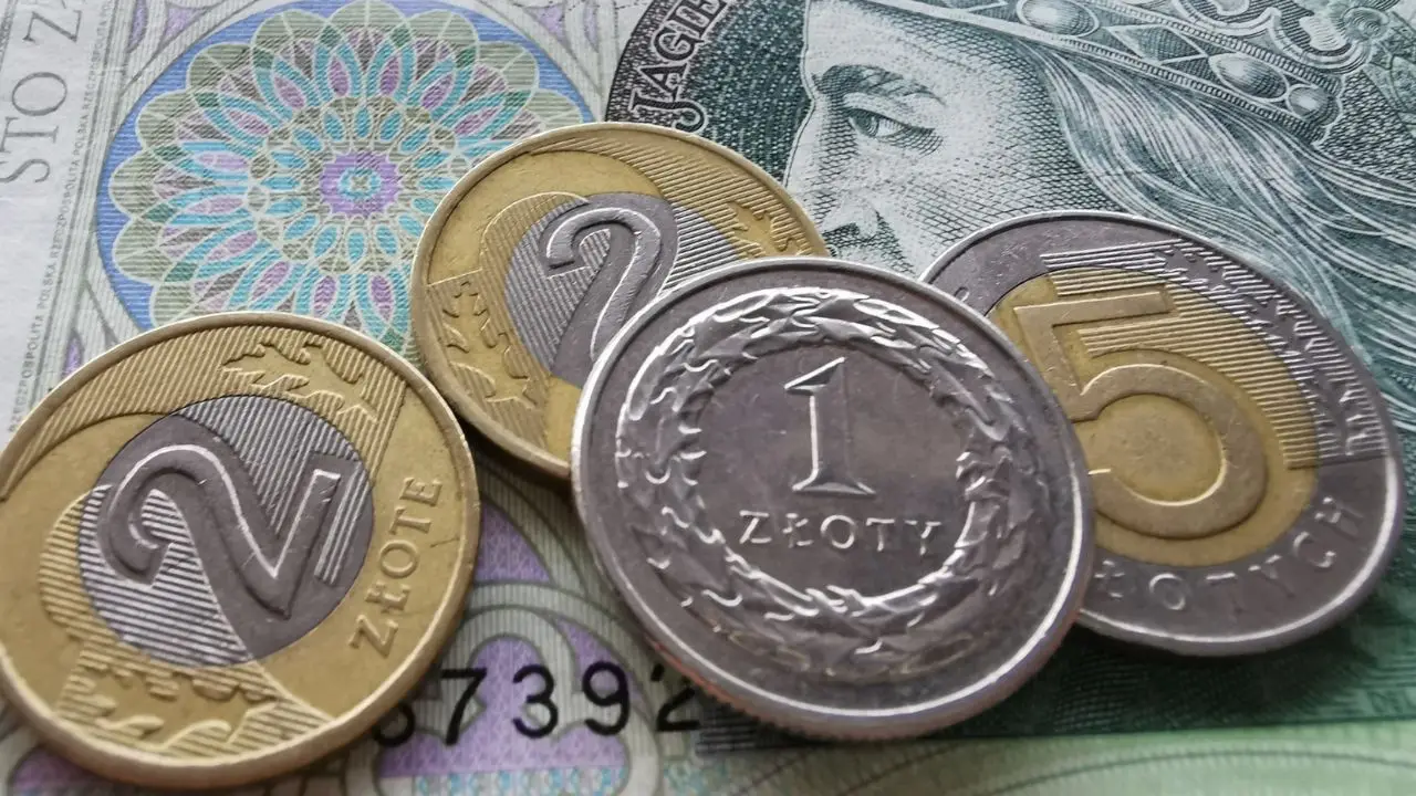 Polskie pieniądze, monety i banknot - renta szkoleniowa
