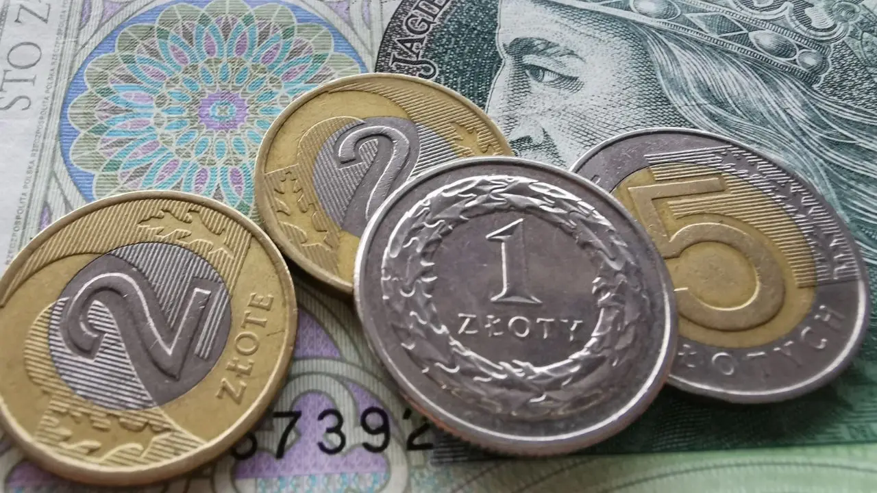 Zmiany w zasiłkach - pieniądze polskie banknoty i bilon