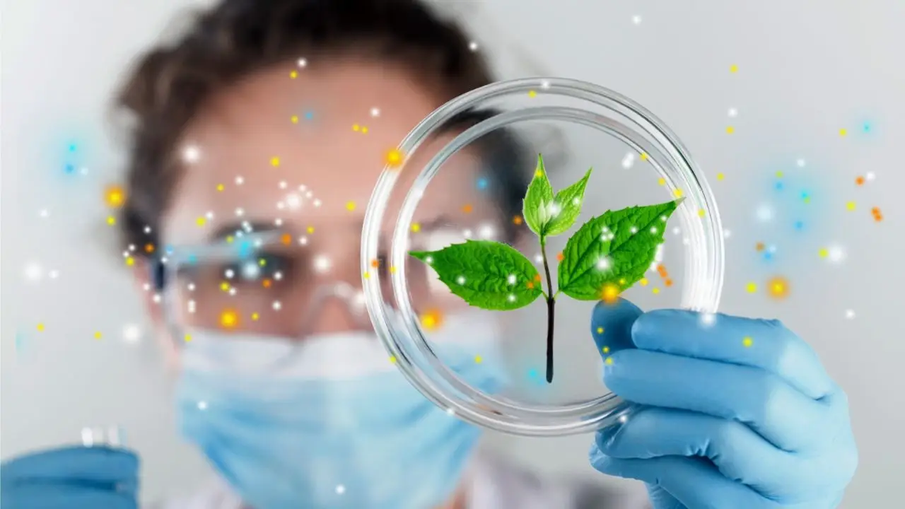 Biotechnologia - kobieta w maseczce trzymająca liść