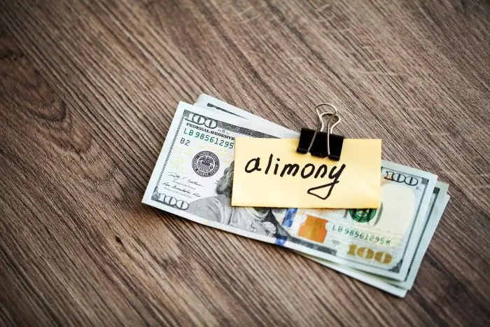 Fundusz alimentacyjny - zdjęcie banknotów podpisane "alimony"