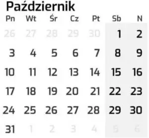 politiker En skønne dag flyde over Wymiar czasu pracy 2022: dni, godziny, święta - Poradnik GoWork.pl