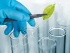 Biologia co po studiach - probówki i liść