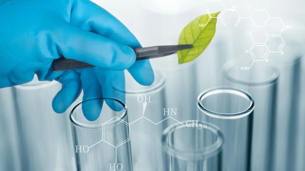 Biologia co po studiach - probówki i liść