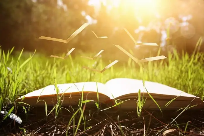 Przyroda - książka leżąca na trawie