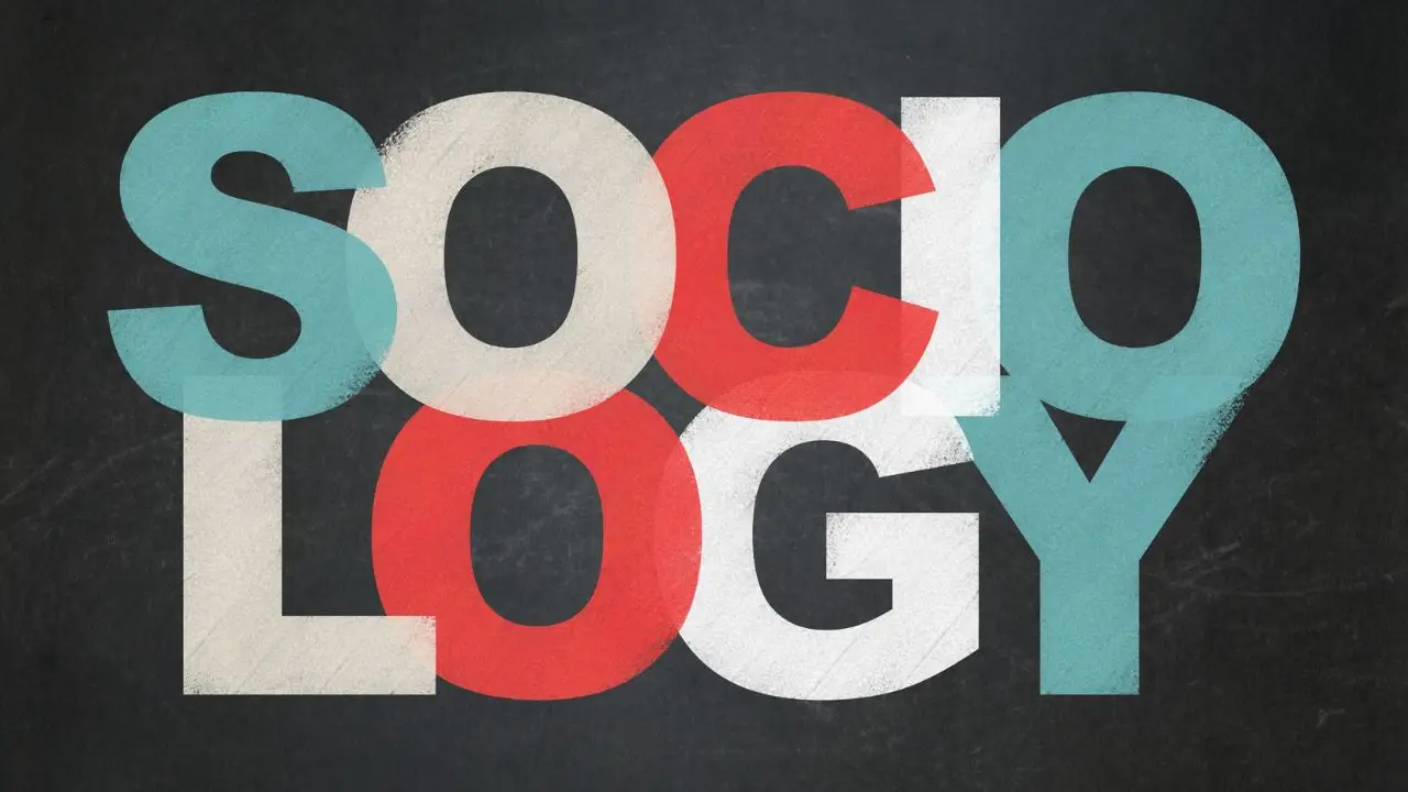 Socjologia - co po studiach