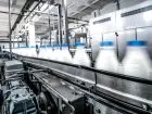 Zdjęcie z linii produkcji mleka