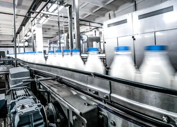 Zdjęcie z linii produkcji mleka