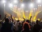 organizator-eventów-praca