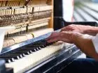 Organista podczas pracy - gra na organach