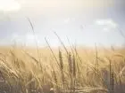 Koniec użytkowania wieczystego
