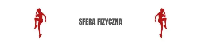 Wellbeing - grafika - SFERA FIZYCZNA