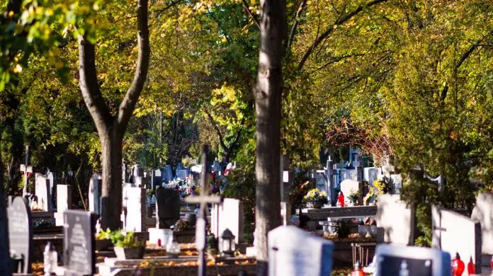 Czy 2 listopada jest wolny - symboliczne zdjęcie cmentarza