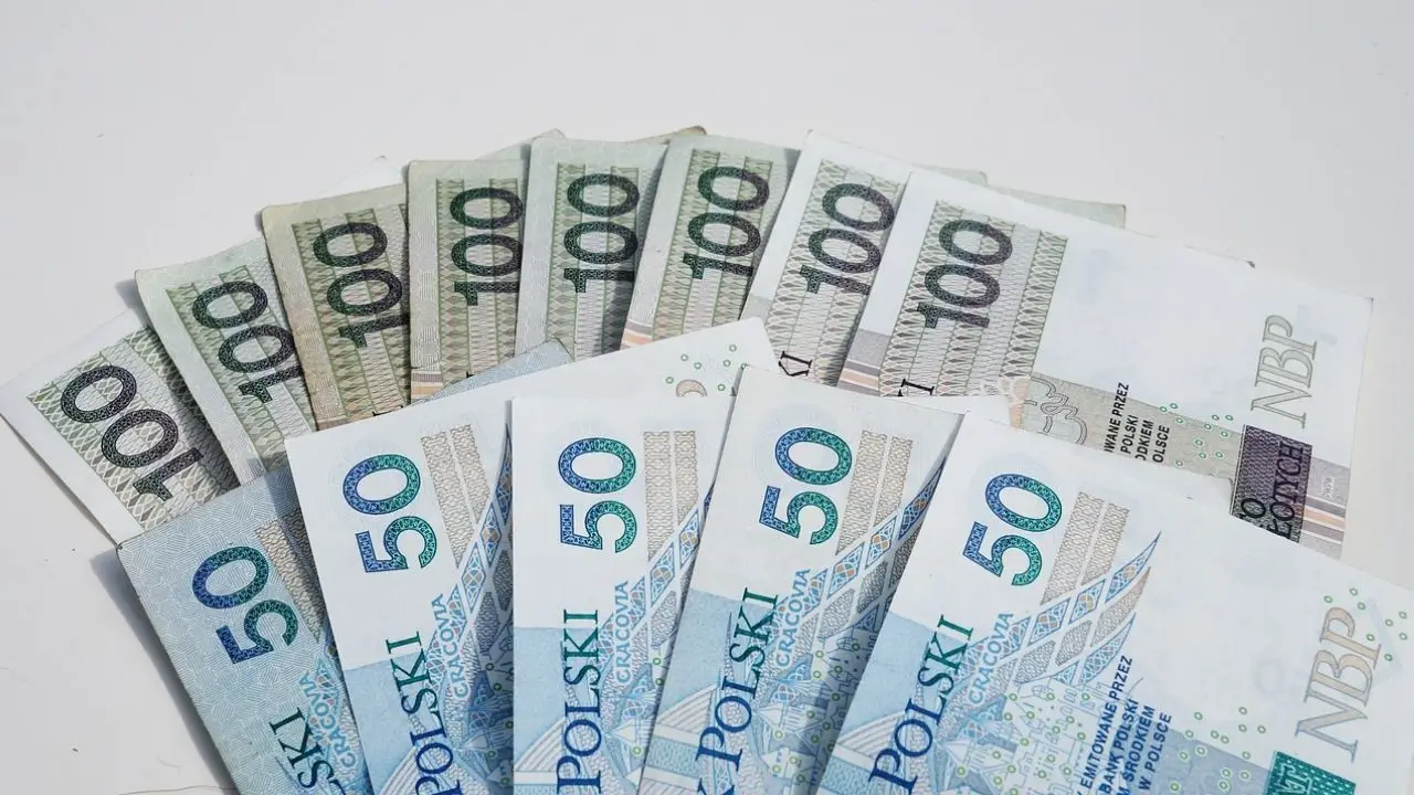 Świadczenie wspierające - banknoty polskie na białym tle