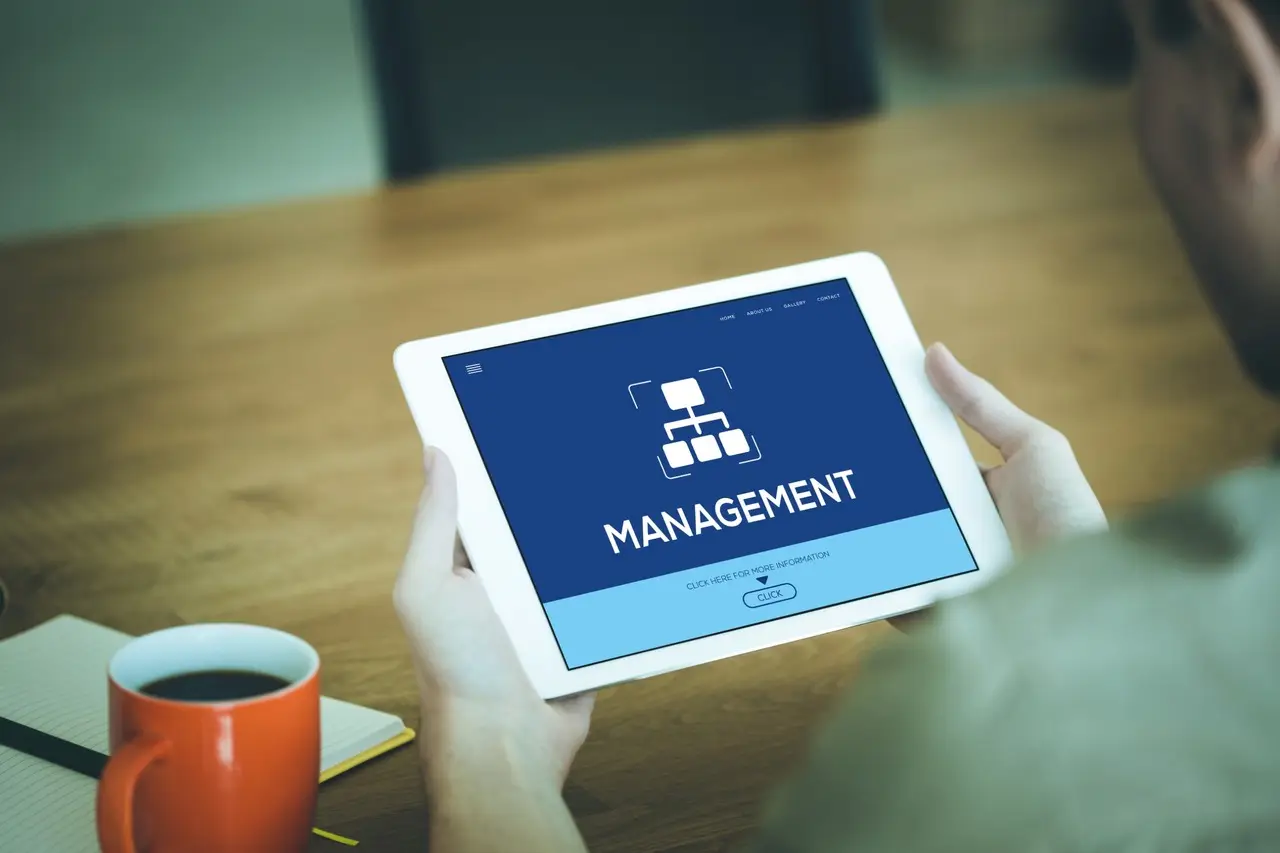 business-management-co-robić-po-studiach
