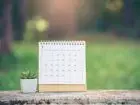 Czy 2 maja jest wolny od pracy - kalendarz postawiony na drewnie, obok roślinka w doniczce