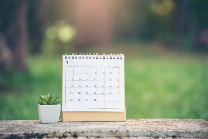 Czy 2 maja jest wolny od pracy - kalendarz postawiony na drewnie, obok roślinka w doniczce