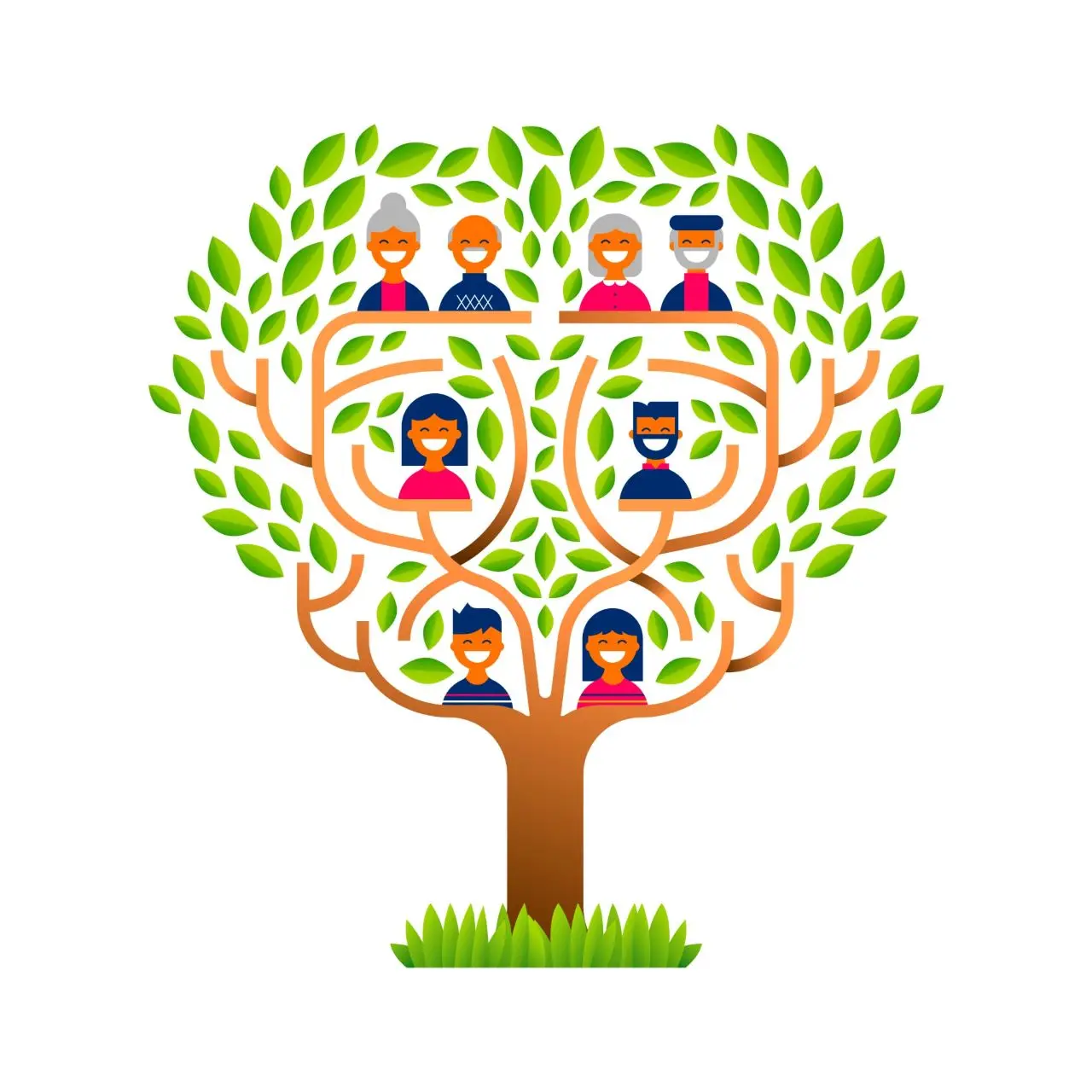 Powinowactwo - grafika drzewa genealogicznego