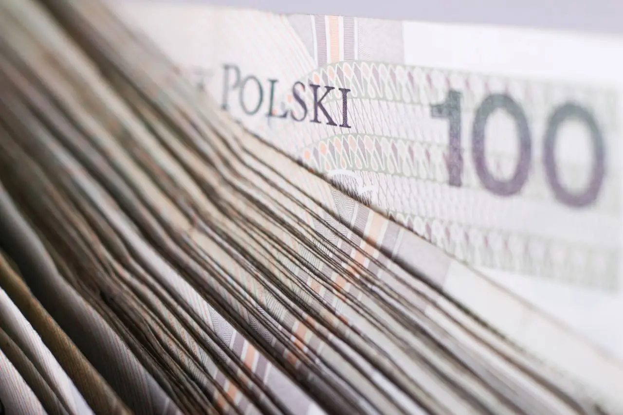 Zasiłek stały 2024 - polskie banknot