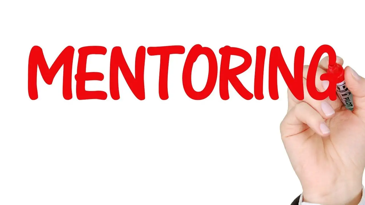 Mentor - czerwony napis mentoring na białym tle