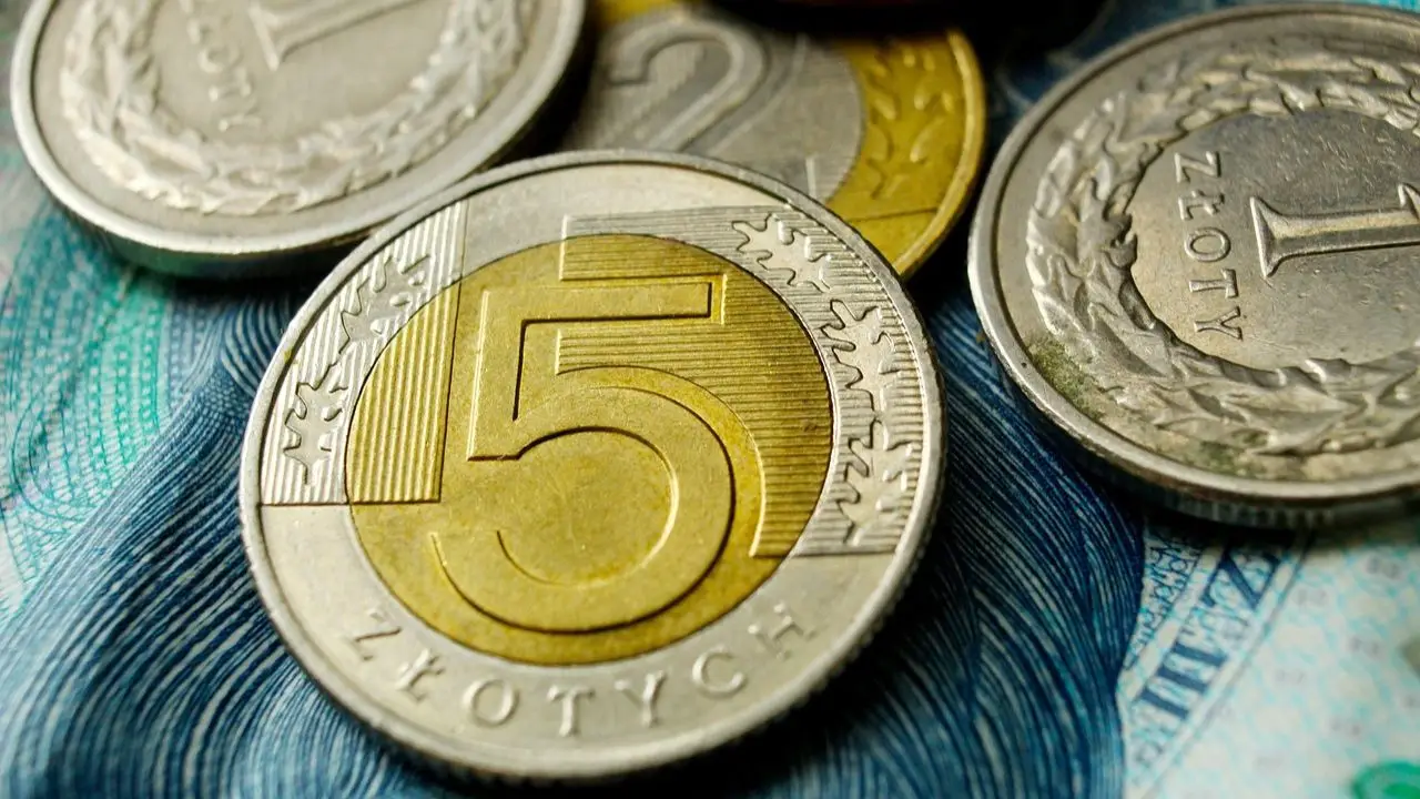 Dodatki dla służb - pieniądze polskie, monety na banknocie
