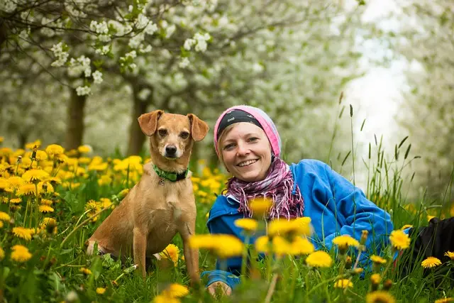 ile-zarabia-petsitter