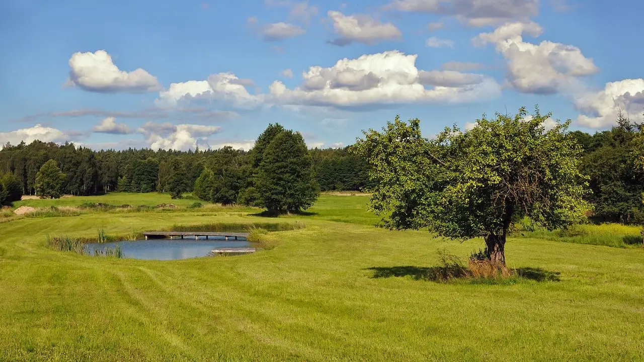 Podlasie - bon turystyczny - druga tura