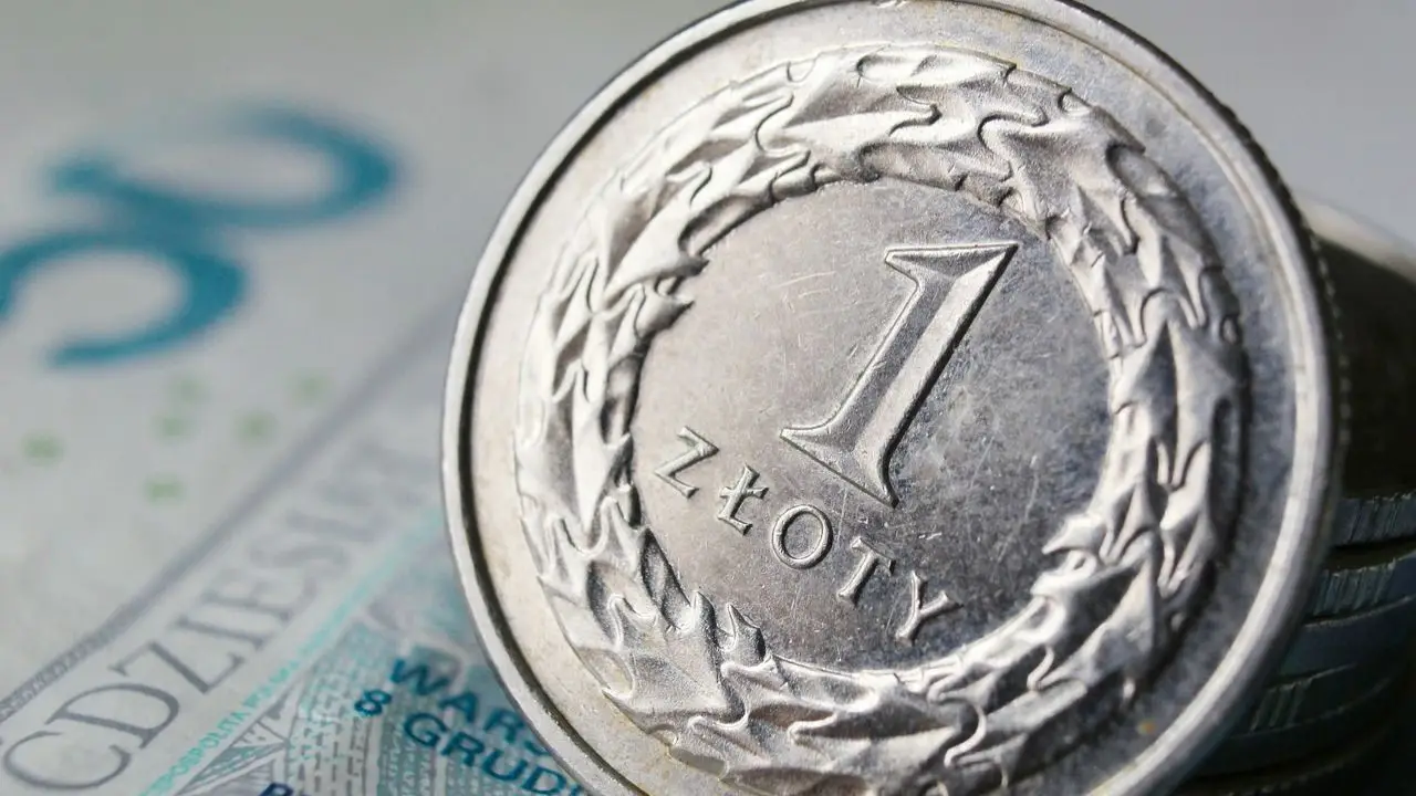 Kosiniakowe wniosek - moneta i banknot polskie pieniądze