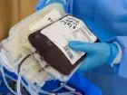 Nowe ulgi dla dawców krwi - worki z krwią w dłoniach pielęgniarki