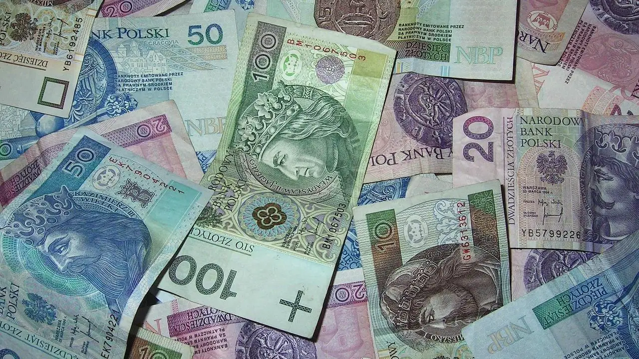 Renta wdowia ZUS - polskie banknoty