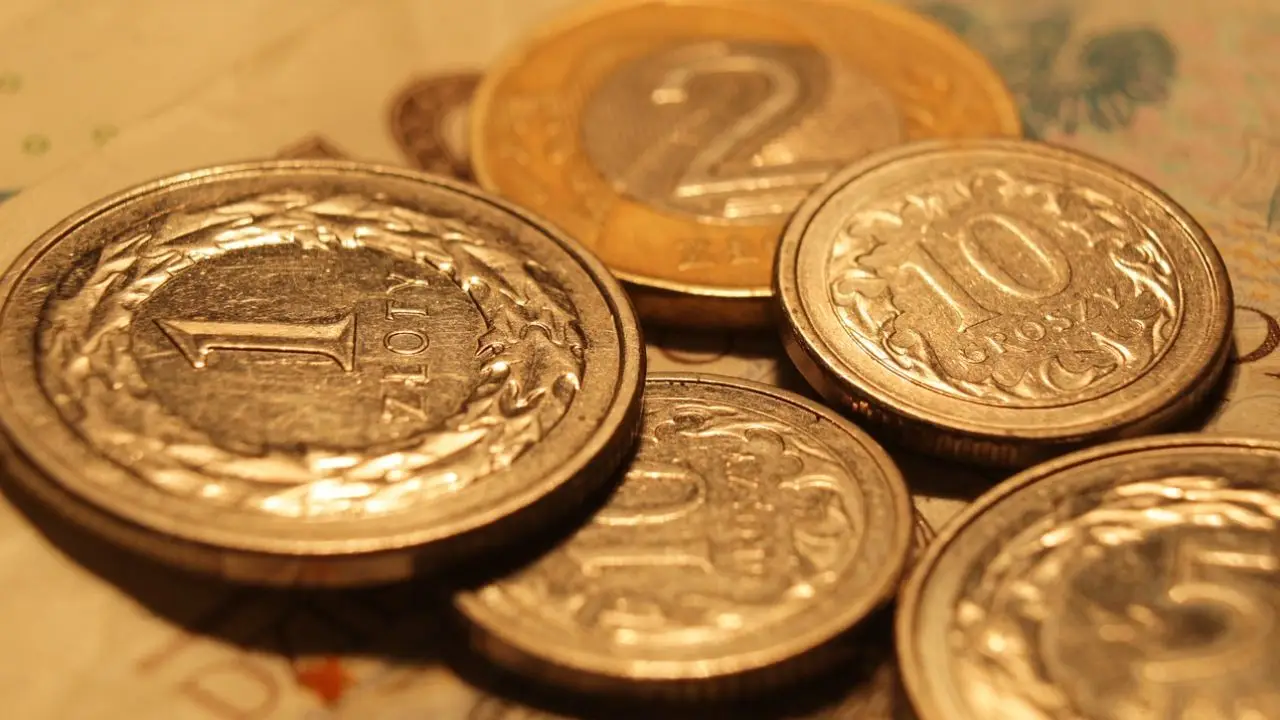 Dodatek pielęgnacyjny - polskie monety na polskich banknotach