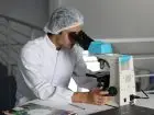 technik-farmaceuta-praca