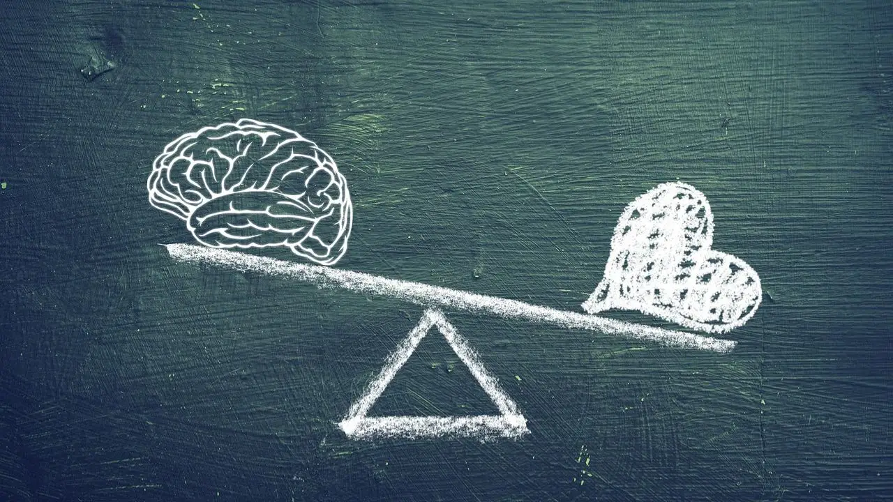 Za co odpowiada prawa półkula mózgu - mózg i serce na szali