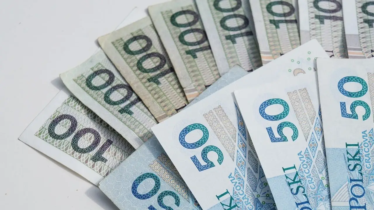 Minimalna od stycznia - banknoty polskie na białym tle