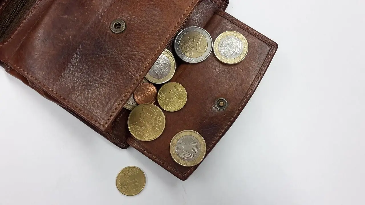 Najniższa krajowa na rękę do 26 roku życia - monety w portfelu