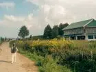 mikrourlop