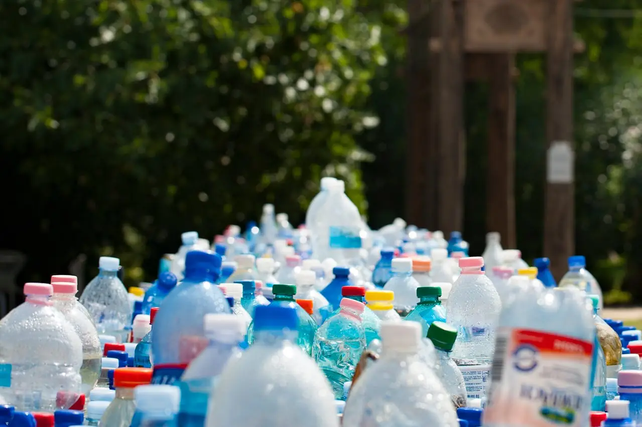 luka-w-systemie-kaucyjnym