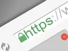HTTPS - napis w polu wyszukiwania
