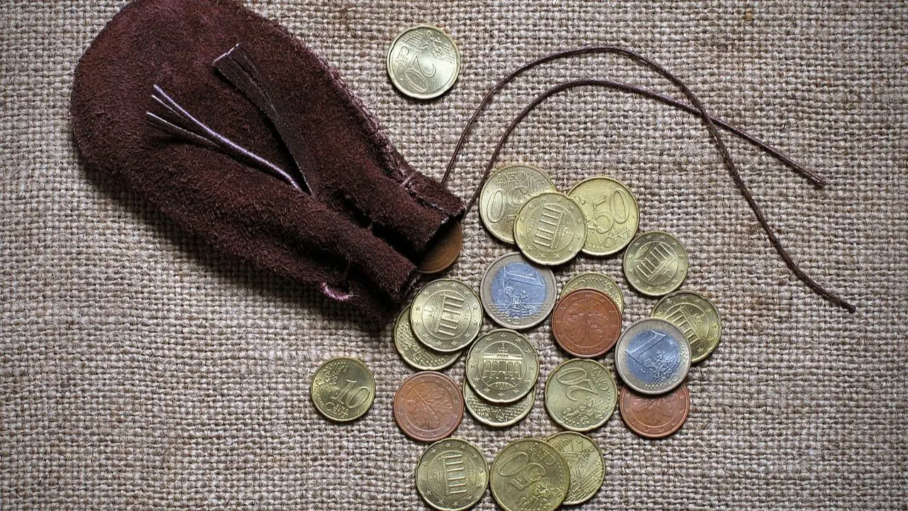 Składniki minimalnego wynagrodzenia za pracę - monety wysypane z sakiewki