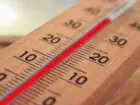 Temperatura w pracy - termometr